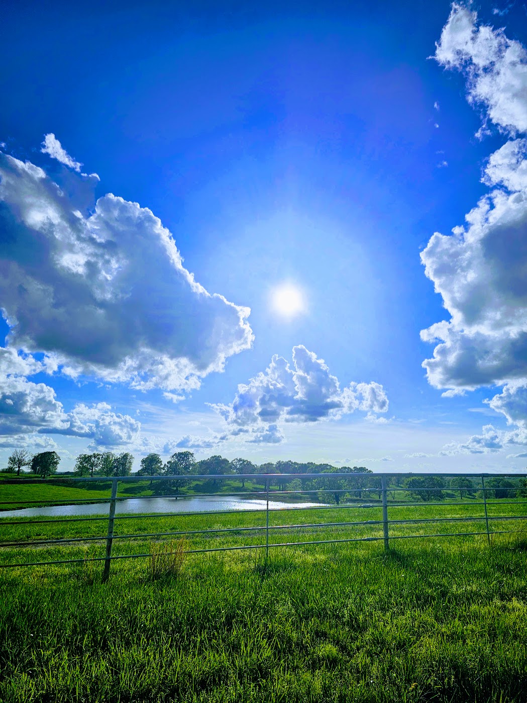 Season's Eden property showcasing sustainable practices and natural beauty