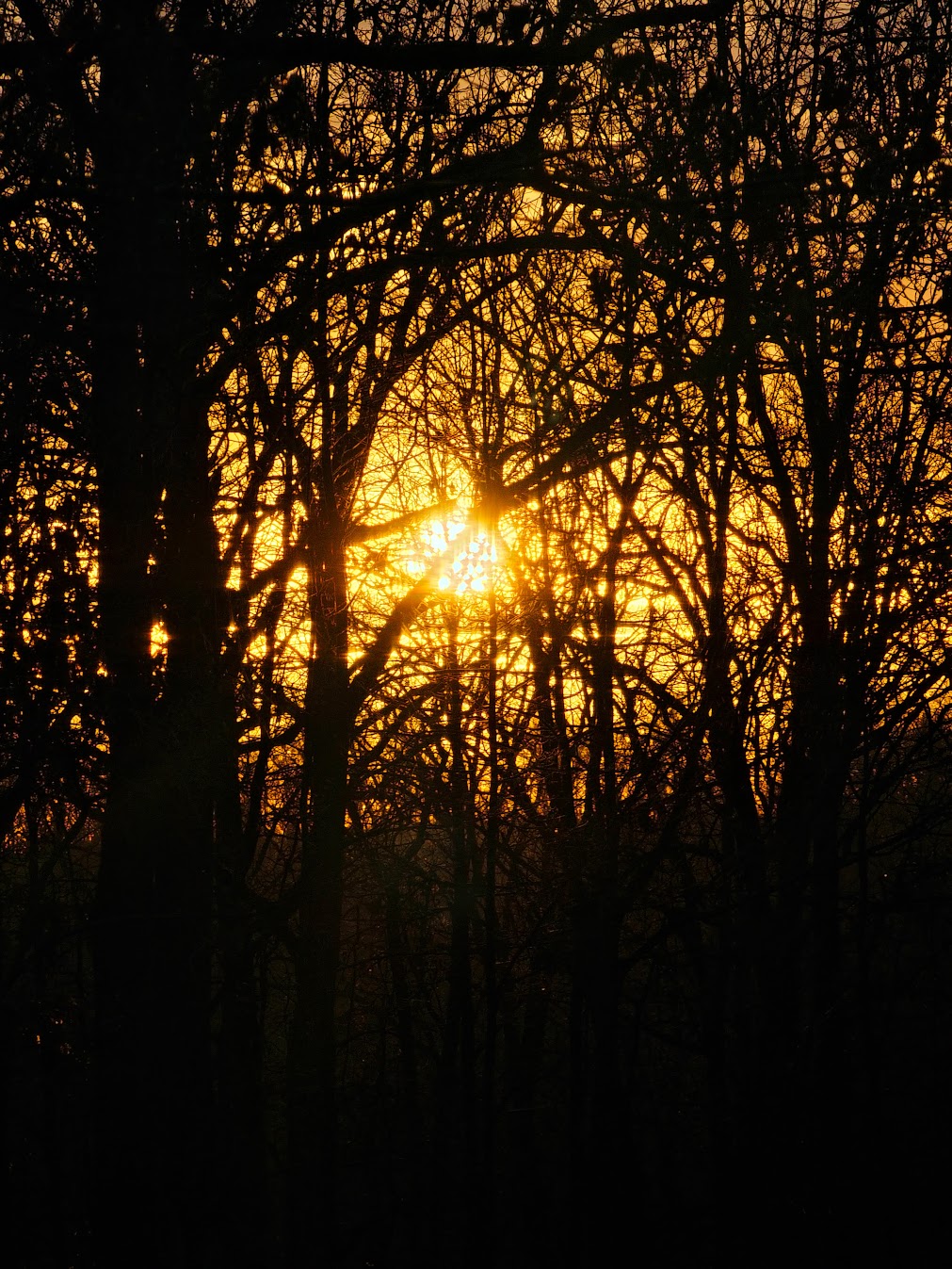 Contact Season's Eden glamping retreat in Edwards, Missouri